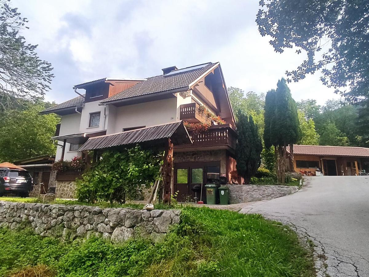 Fantastic Apartment Brglez Bohinjska Bela Buitenkant foto